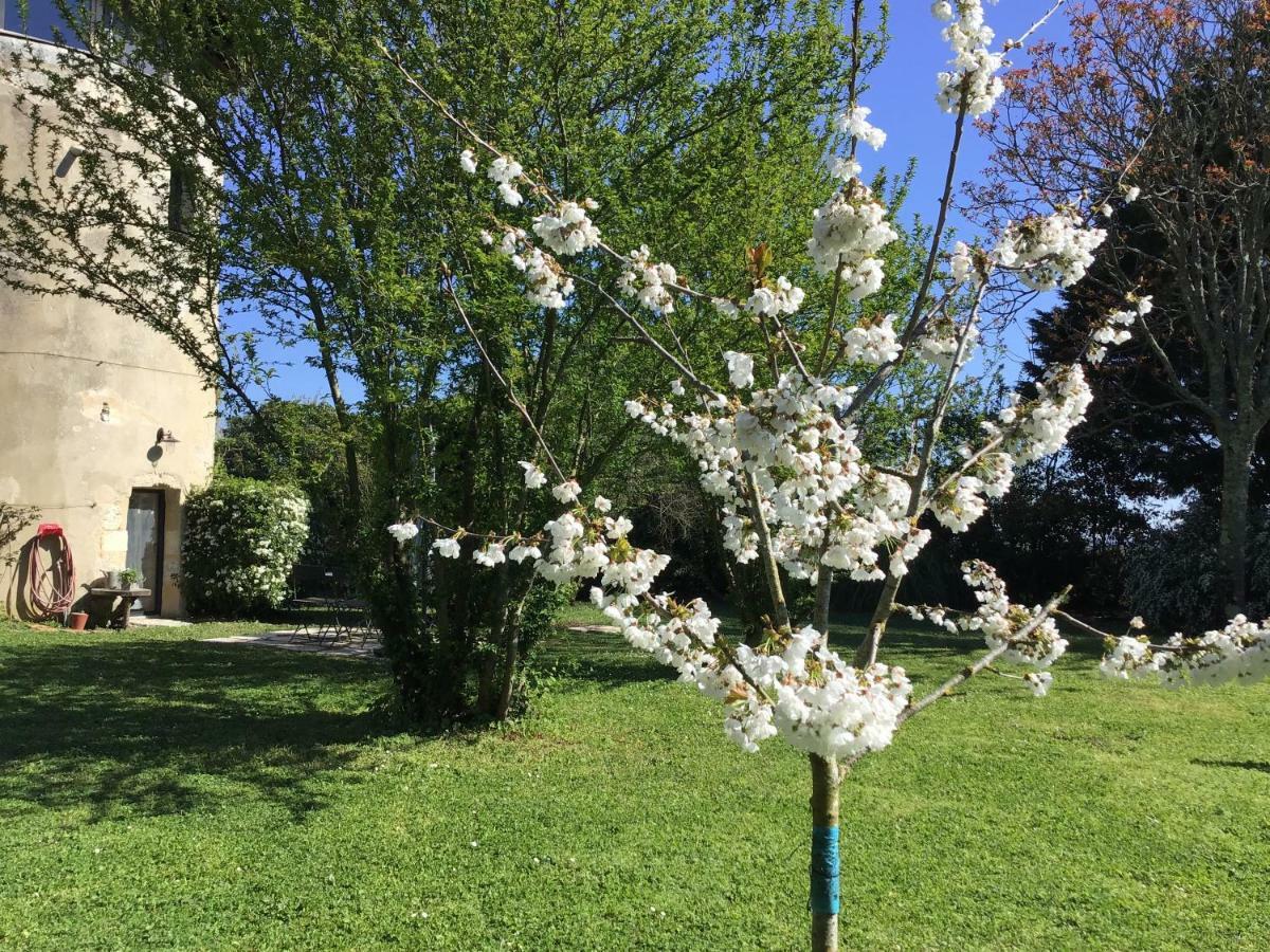 Le Moulin De Margaux Villa Dış mekan fotoğraf
